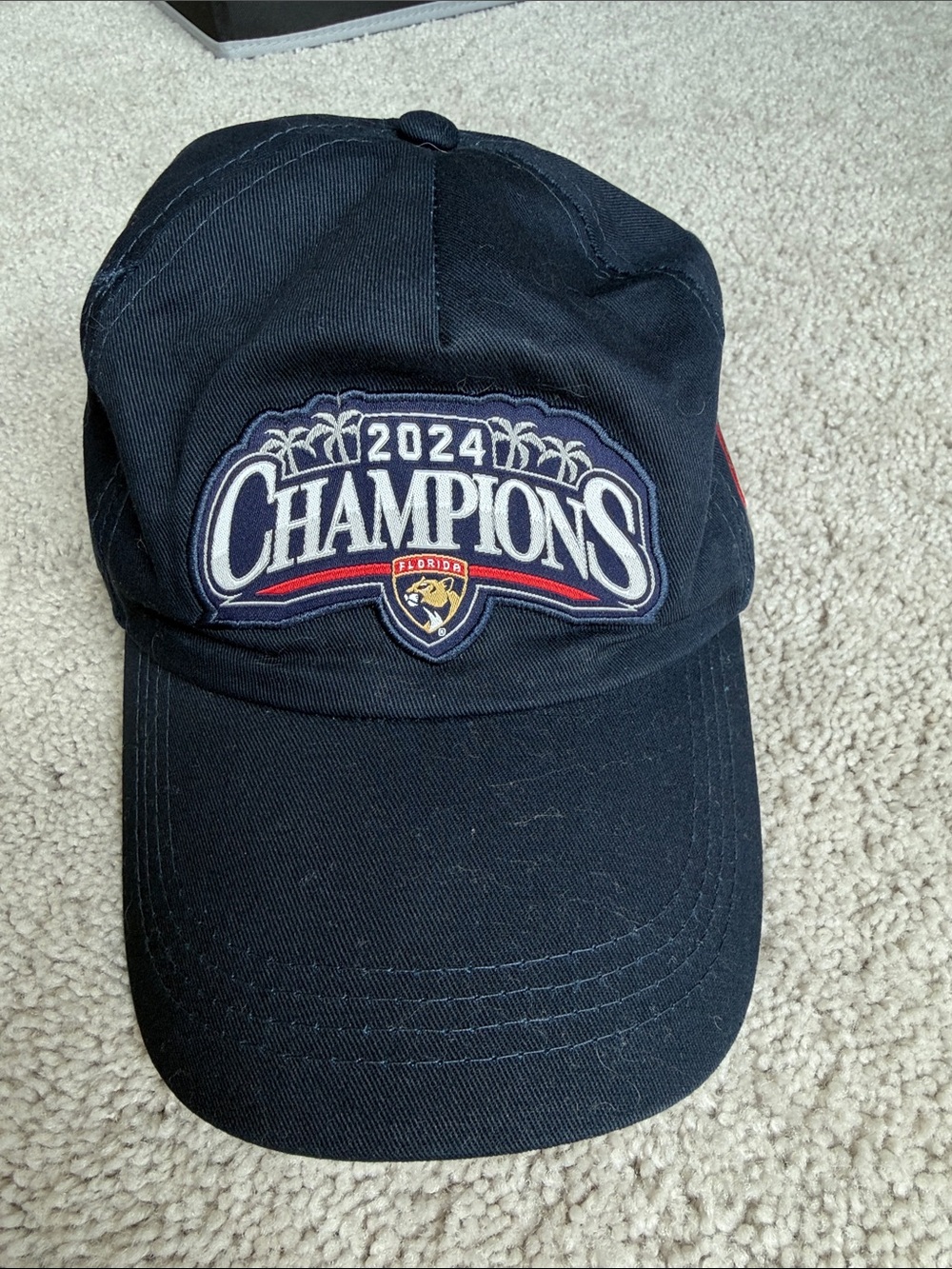 NHL Florida Panthers 2024 Champions Black Baseball Cap. Men’s size